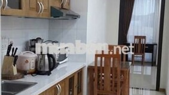CHÍNH CHỦ CHO NGƯỜI NƯỚC NGOÀI , VIỆT NAM THUÊ CĂN HỘ 1N.1K VÀO Ở NGAY