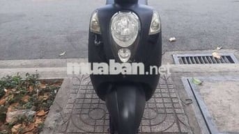 SYM Elegant 50cc 2019 Biển TP, chính chủ, xe đẹp 
