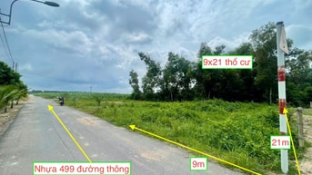 Bán đất xã Phạm Văn Cội 190m²(9x21, có 134m² ONT). Giá bán 1,8 tỷ.