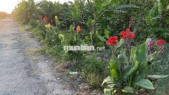 Bán 1.000 met vuông đất, full thổ cư (1.000 mét vuông đất ở Đô Thị)