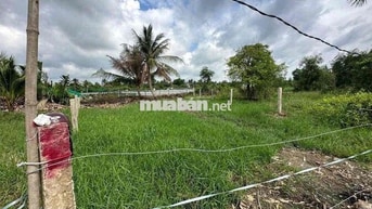 Bán đất 260m2 full thổ cư Đức Tân - Long An