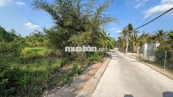 Chính chủ cần bán đất mặt tiền lộ xe tải 3,5tấn.