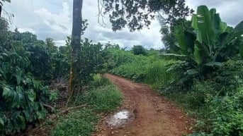 Thông báo đấu giá tài sản bảo đảm của khách hàng Trương Thiện Tâm