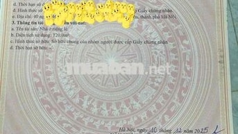Bán CCMN Nguyễn Trãi cạnh Royal City- Sổ Hồng Từng Căn, Tầng 3 thoáng