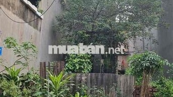 🌳 SỐNG KẾ BÊN HỒ ĐIỀU HÒA - ĐẤT THANH AM VỊ TRÍ VIP - 65M2 CHỈ 9,8 TỶ
