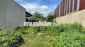 BÁN ĐẤT XÂY TRỌ ĐƯỜNG AN KHƯƠNG P.TRẢNG BÀNG TÂY NINH 135M2 500TRIỆU
