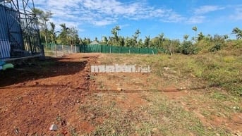 Đất Full Thổ Cư Phường Tân An - Tỉnh Đăk Lăk