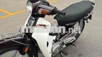 Honda Dream Việt Nâu trắng Đã dọn mới
