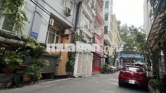 HẺM Ô TÔ 6M - KINH DOANH - TRẦN HƯNG ĐẠO Q1 - 32m2 - 2 Tầng Nhỉnh 8 Tỷ
