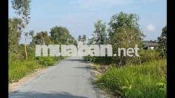 đất nền gần khu công nghiệp long giang
