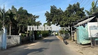 Không trả nổi ngân hàng Ra lỗ Lô đất sát lộ 3/2 bỏ về quê xây nhà