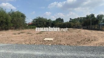 Bán đất Củ Chi Sát chợ Tân Thạnh Đông 225m2/ 730tr đầu tư sinh lời cao