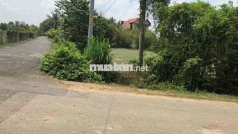 Bán đất 2 mặt tiền đường nhựa, vì ngợp ngân hàng