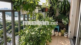 Bán căn hộ đẹp giá tốt tại Sunrise Riverside