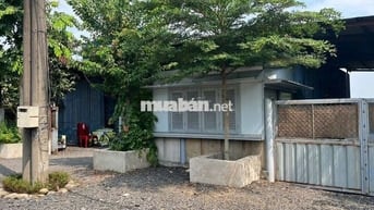 Cho thuê kho mặt tiền tỉnh lộ 8 - củ chi