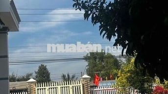 🌿 NHÀ VƯỜN MẶT TIỀN ĐT795 – VÀO Ở NGAY, CÓ TRÁI ĂN QUANH NĂM 🌿
