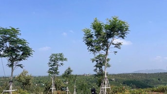 Cần bán đất ven Đà Lạt Chỉ 250triệu dân cư đông đúc