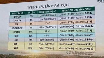 Căn hộ cao tầng, cao cấp Wieu biển DA Vinhome Cần Giờ, giá từ 1,8 đến 