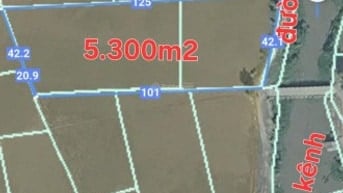 Bán 5,300m2 Lúa, 2MT đường xe tải, gần TL15B, Tân Thạnh Đông Củ Chi