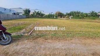 đất thổ cư 5x10 50m² 360tr gần chợ đức hoà thượng