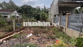 Cần bán miếng đất tại thuốc Xã Bình Ba Cũ Thuộc Xã Ngãi Giao Mới