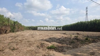BÁN ĐẤT VƯỜN XUYÊN MỘC - LÔ GÓC 11.615M2 HẺM XE HƠI GIÁ CHỈ 5,5 TỶ