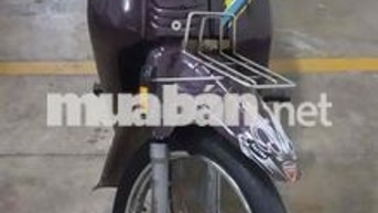 Dream lùn đài Loan mới tinh