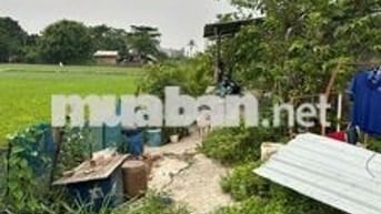 chính chủ cần bán đất trồng cây , 300m vuông, giá 1.5 ty, hh 50tr