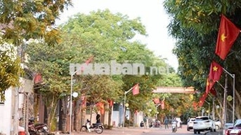 Cho thuê nhà riêng tại Hưng Lộc, Vinh, Nghệ an