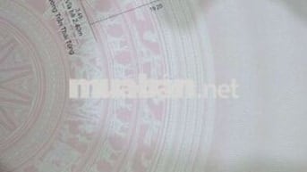 Chính chủ, cần bán đất mặt tiền đường Trần Thái Tông 