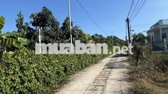 ĐẤT Ở THỔ CƯ FULL tại Tam An, Long Điền
