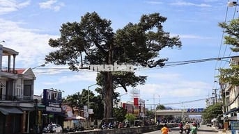 Nhà mặt đường ,gần biển Nha Trang 