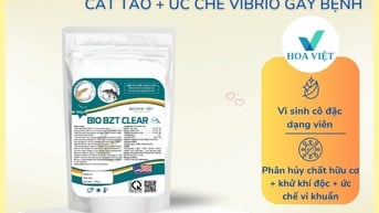 BIO BZT CLEAR VIBRIO – Vi sinh dạng viên cao cấp nhập khẩu từ Mỹ