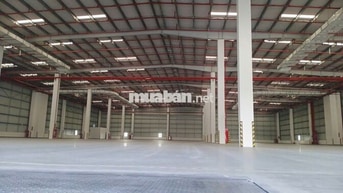 CHO THUÊ KHO XƯỞNG 5300M2 NGUYỄN HỮU TRÍ, BÌNH CHÁNH GIÁ CHỈ 55K 