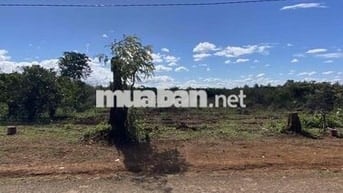 Đất mt đường nhựa làng maei thôn 1 ia hrung
