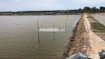 Chính chủ bán đất Thuỷ Sản Lý Nhơn Cần Giờ