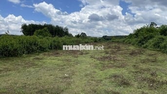 CHÍNH CHỦ BÁN NHANH LÔ ĐẤT GIÁ TỐT – ĐƯỜNG BÊ TÔNG TỚI ĐẤT