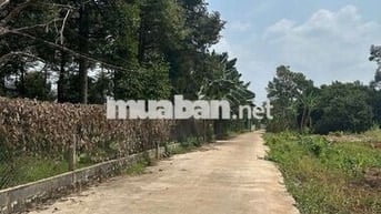 Chỉ 545tr/1000m2 sở hữu ngay đất Phường Bình Lộc- TP. Đồng Nai
