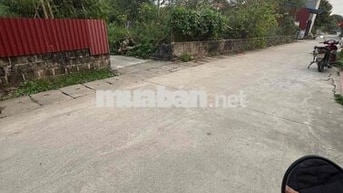 Bán lô góc 282m2 - trong đó 200m2 thổ cư -82 đất vườn
