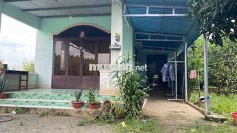 Thạnh Phú Vĩnh Cữu Đồng Nai  + DT 560m2 ( 14 x 42 ) sổ riêng
