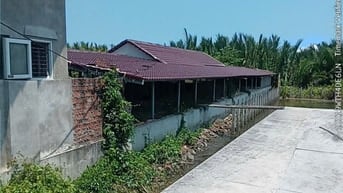 🚨 SỐC THẬT! 3000m² ĐẤT HỘI AN – CHỈ 1,49 TỶ 🚨