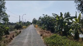 Bán đất mặt tiền đường kênh Sáu Ầu, tỉnh Tiền Giang (cũ)