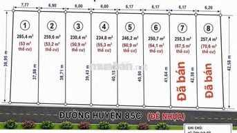 Đất Mặt Tiền Đường Huyện 85C Nhựa view Nhà Vườn Miền Tây
