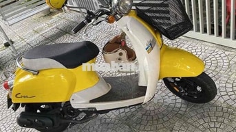 Honda Crea 50cc Vàng
