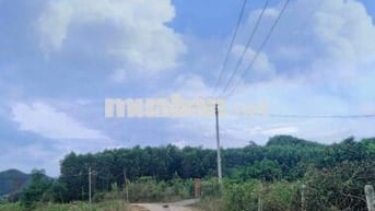 Đất thổ cư Khánh Phú - Khánh Vĩnh - Khánh Hoà