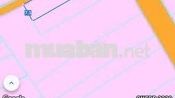 đất Phước tân cần bán. huyện xuyên mộc. brvt nay hcm