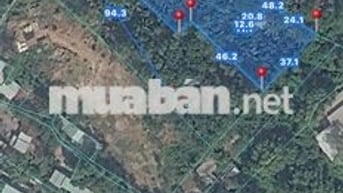 Đất vườn Chánh Nghĩa nhánh Bùi Quốc Khánh có 2lối 4.500m2