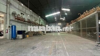 Cho thuê xưởng 1000m2 , đường container - Tân Đông Hiệp