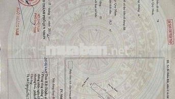 Đất mặt tiền Đào Tấn, phường Nhơn Bình 3,2 tỷ