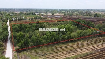 Lỗ chứng khoán bán gấp đất 1 sẹc vành đai 4 5X30m thổ 550tr và 5600m2
